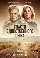  Спасти единственного сына (2022) смотреть онлайн в HD