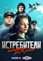  Истребители. Битва за Крым (2024) смотреть онлайн в HD