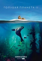  Голубая планета 2 смотреть онлайн тв шоу 2017 в HD