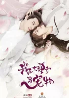  Кошка из палаты по уголовным делам - Я любимец храма Дали / Я - питомец в храме Дали / Wo Zai Da Li Si Dang Chong Wu (2018) смотреть онлайн в HD