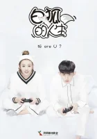  Жизнь белого лиса The Life of White Fox смотреть онлайн сериал 2019 в HD