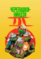  Черепашки-ниндзя 3 смотреть онлайн фильм 1992 в HD