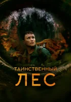  Таинственный лес смотреть онлайн фильм 2023 в HD