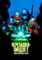  Черепашки-ниндзя 2: Тайна изумрудного зелья смотреть онлайн фильм 1991 в HD