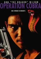  Инферно смотреть онлайн фильм 1997 в HD