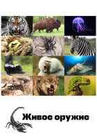  Живое оружие смотреть онлайн тв шоу 2016 в HD