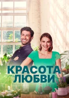  Красота любви смотреть онлайн фильм 2021 в HD