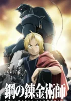  Стальной Алхимик: Братство смотреть онлайн аниме сериал 2009 в HD