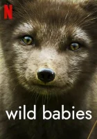  Детки не в клетке смотреть онлайн тв шоу 2022 в HD