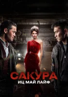 Сакура смотреть онлайн фильм 2024 в HD