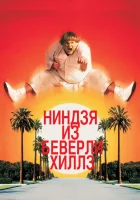  Ниндзя из Беверли Хиллз смотреть онлайн фильм 1997 в HD