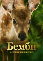  Бемби. История жизни в лесу смотреть онлайн фильм 2024 в HD