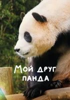  Мой друг панда смотреть онлайн фильм 2024 в HD