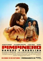  Пимпинеро: Кровь и бензин смотреть онлайн фильм 2024 в HD