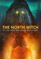 Северная ведьма смотреть онлайн фильм 2024 в HD