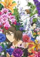  Встреча снежным летом смотреть онлайн аниме сериал 2012 в HD