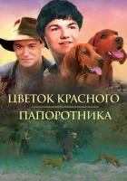  Цветок Красного папоротника смотреть онлайн фильм 2003 в HD