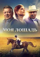  Моя лошадь смотреть онлайн фильм 2016 в HD