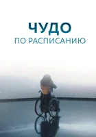  Чудо по расписанию (2016) смотреть онлайн в HD